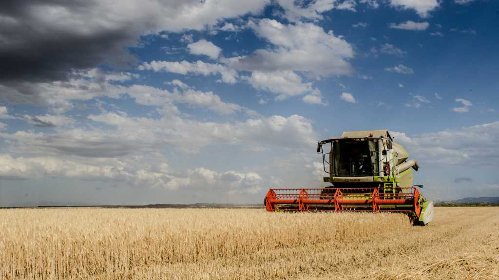 Agricultores acusam Governo de falhar prazo de pagamento de ajudas