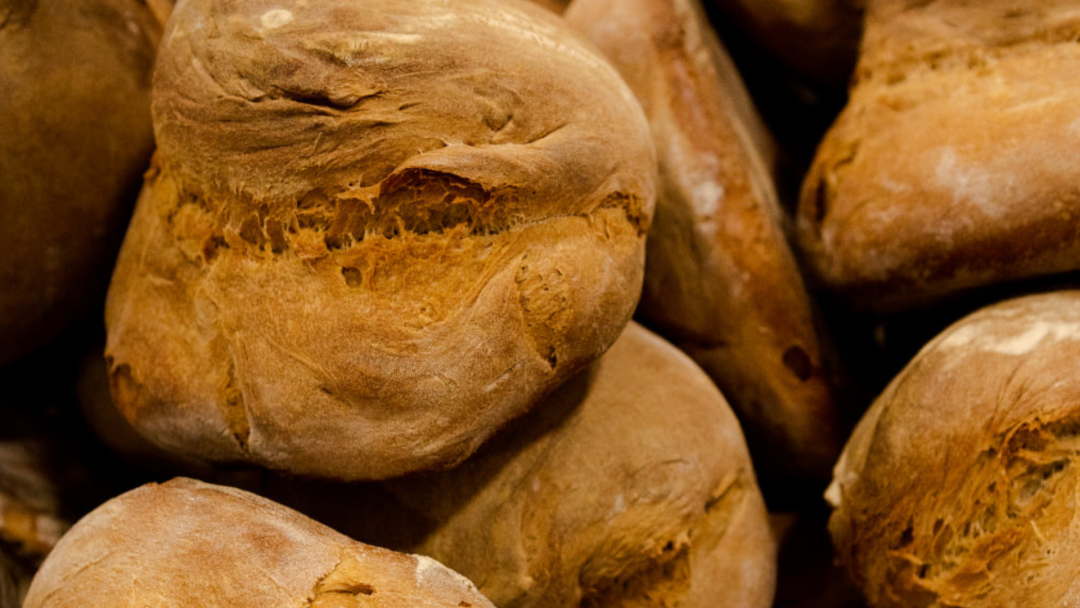 Foto: Padaria "Seara de Pão"