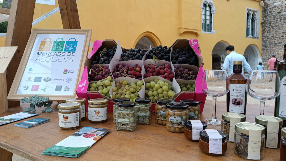 "Vinipax" conta com mais de 700 vinhos (com fotogaleria) - 26 de Abril, 2025 PSX 20230906 190443 - Rádio Pax 2025