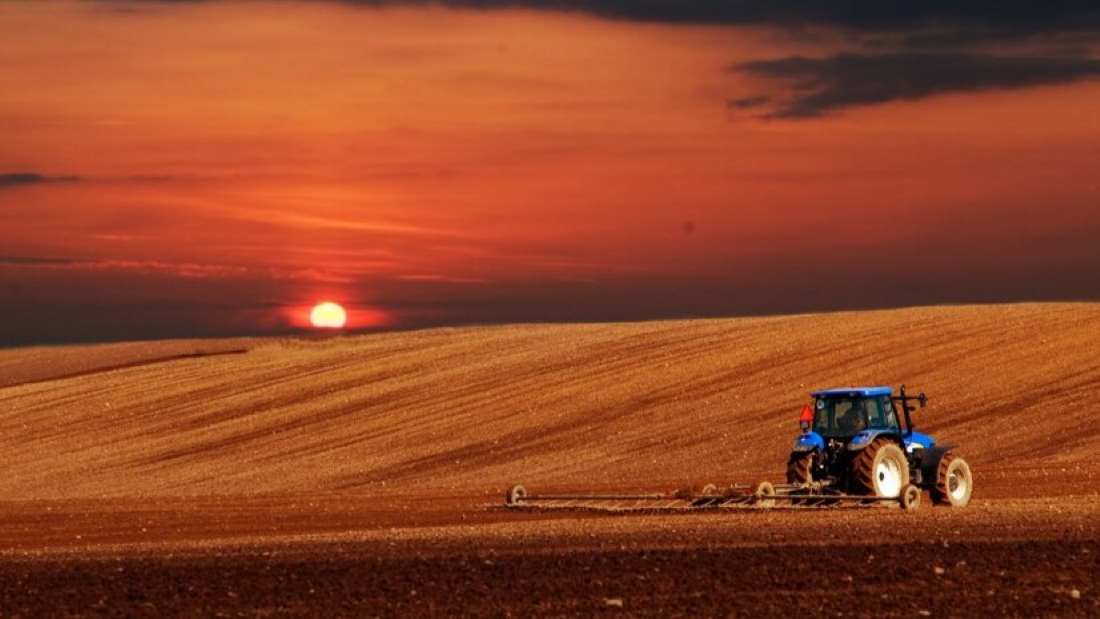 Aprovados 2,9 M€ para pequenas explorações na margem esquerda