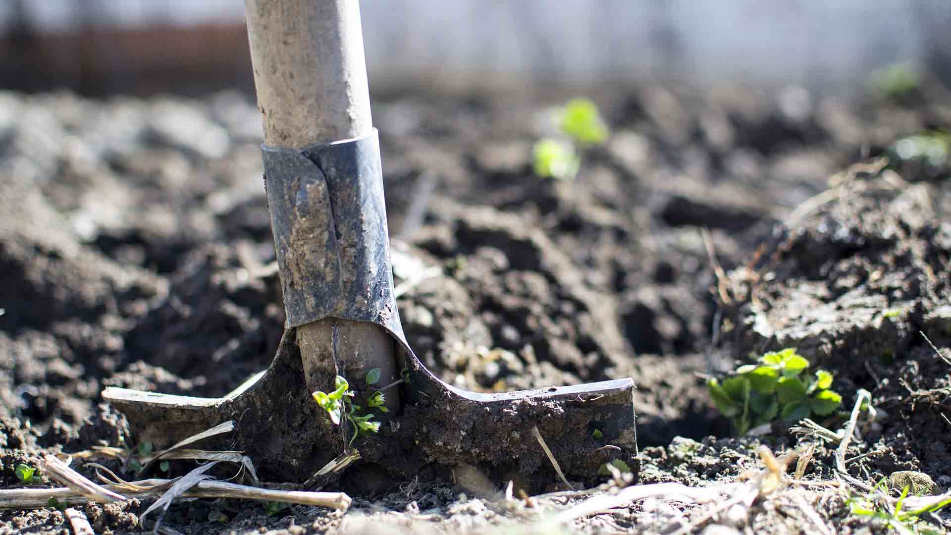 CEBAL promove seminário sobre valorização de subprodutos na agricultura