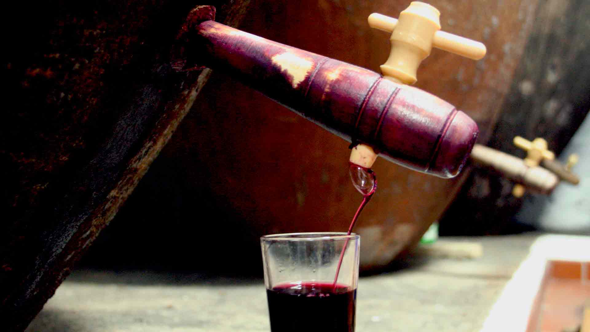 Foto: CM Vidigueira