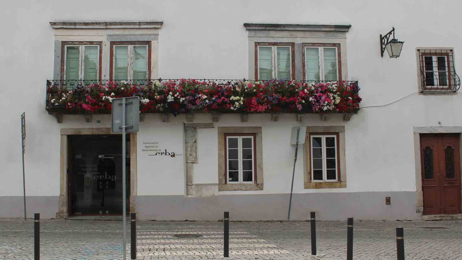 Foto: Conservatório Regional do Baixo Alentejo