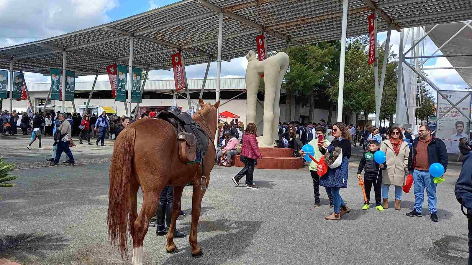 Ovibeja em contagem decrescente para a sua 40ª edição