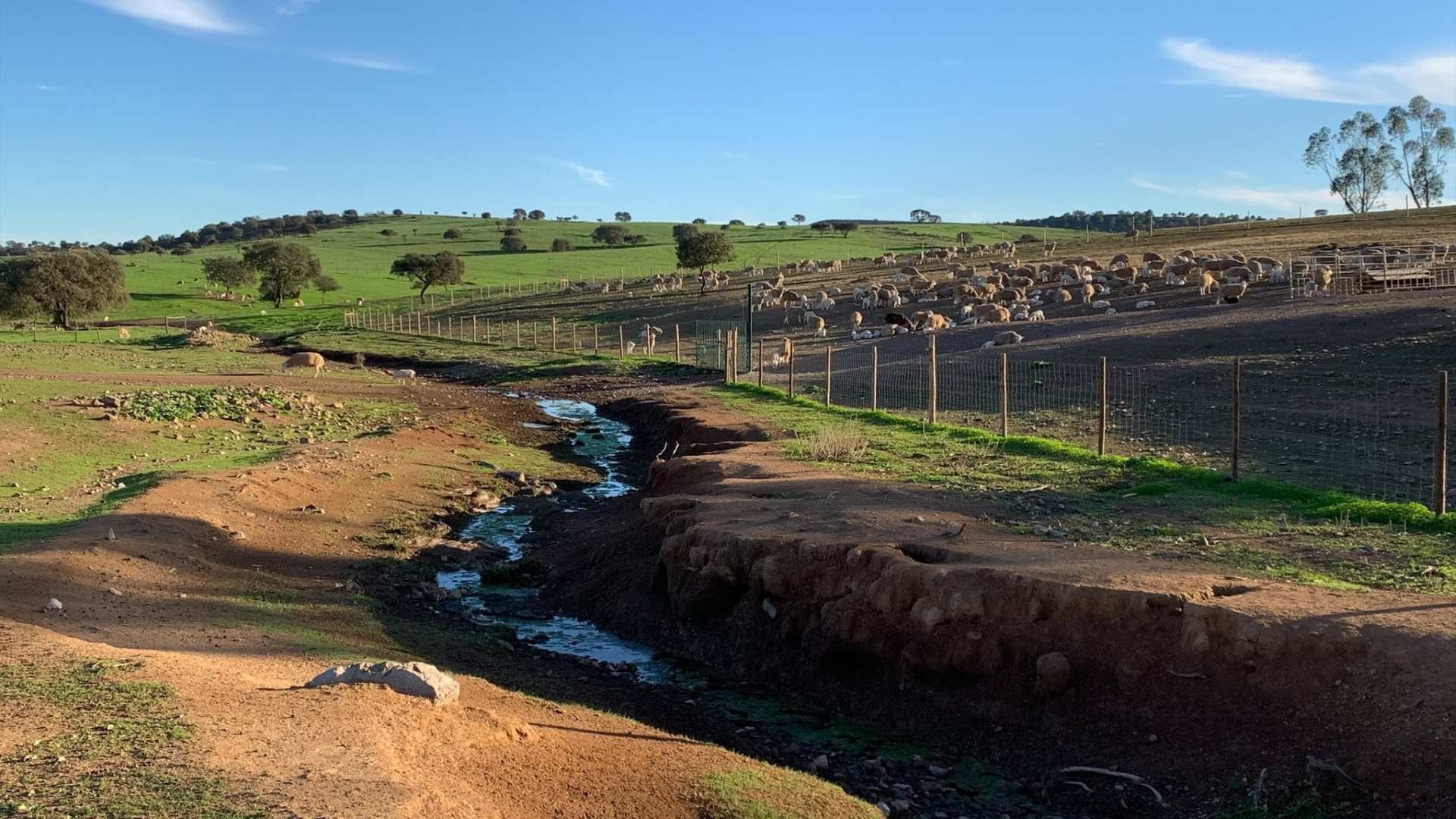 Especialistas apresentam resultados de projetos na área das alteações climáticas  