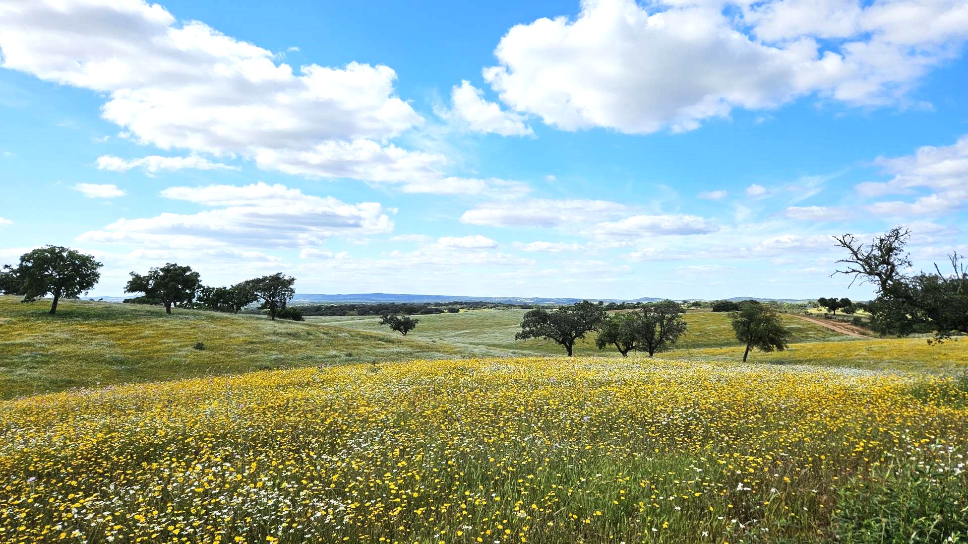 Alentejo é o 4º destino das viagens nacionais