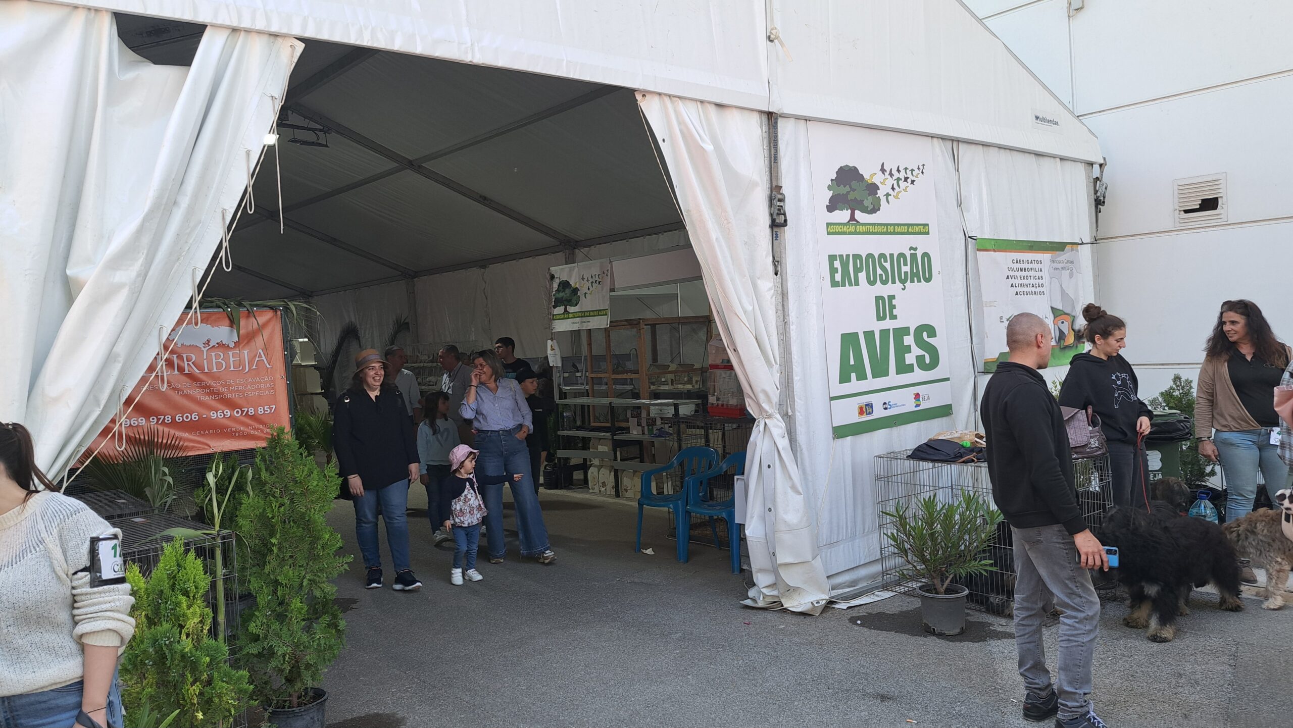 Pavilhão das Aves: Uma atração de destaque na Ovibeja