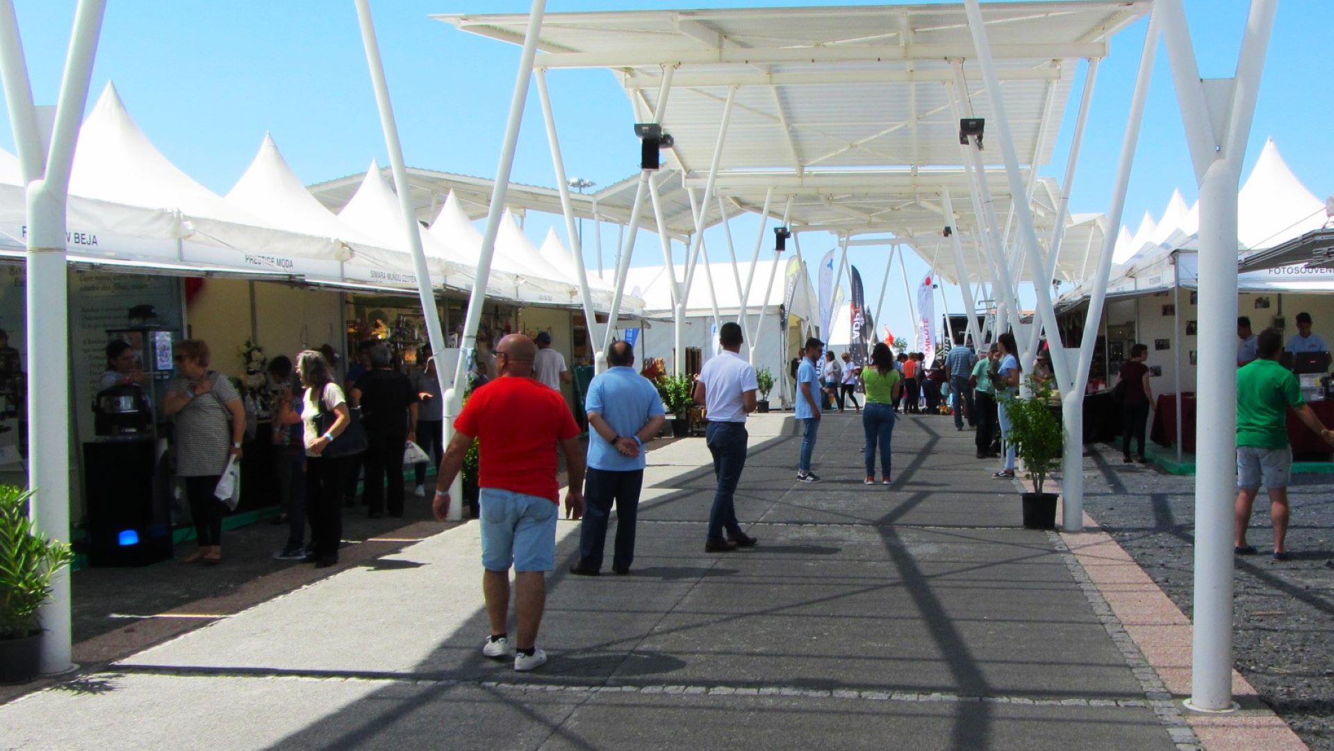 Feira Campo Aljustrel 20 - Rádio Pax 2024