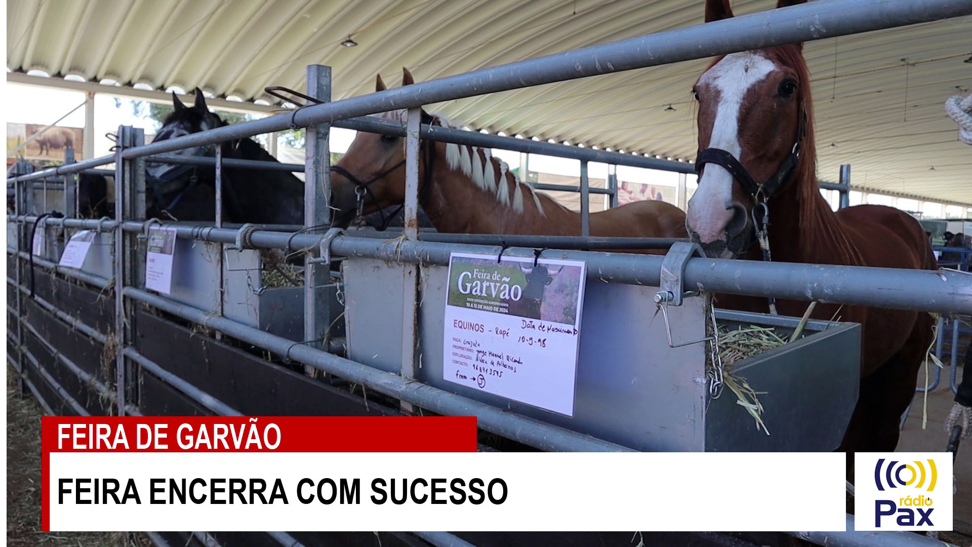 Feira de Garvão encerra com sucesso (com vídeo)