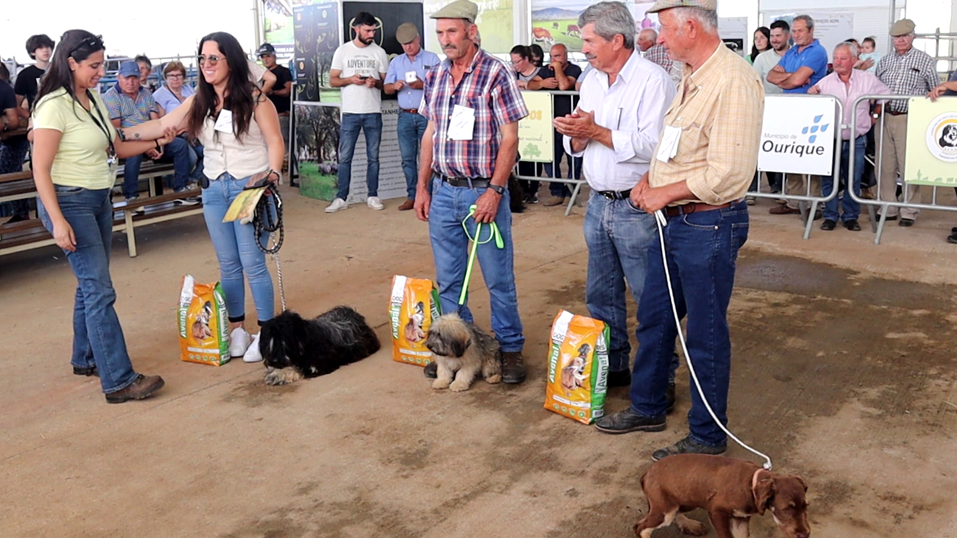 Segundo concurso do Cão Serra de Aires (com vídeo)