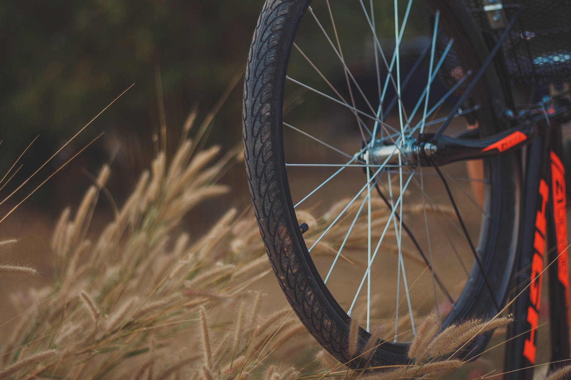 Beja Bike Race realiza-se hoje na cidade
