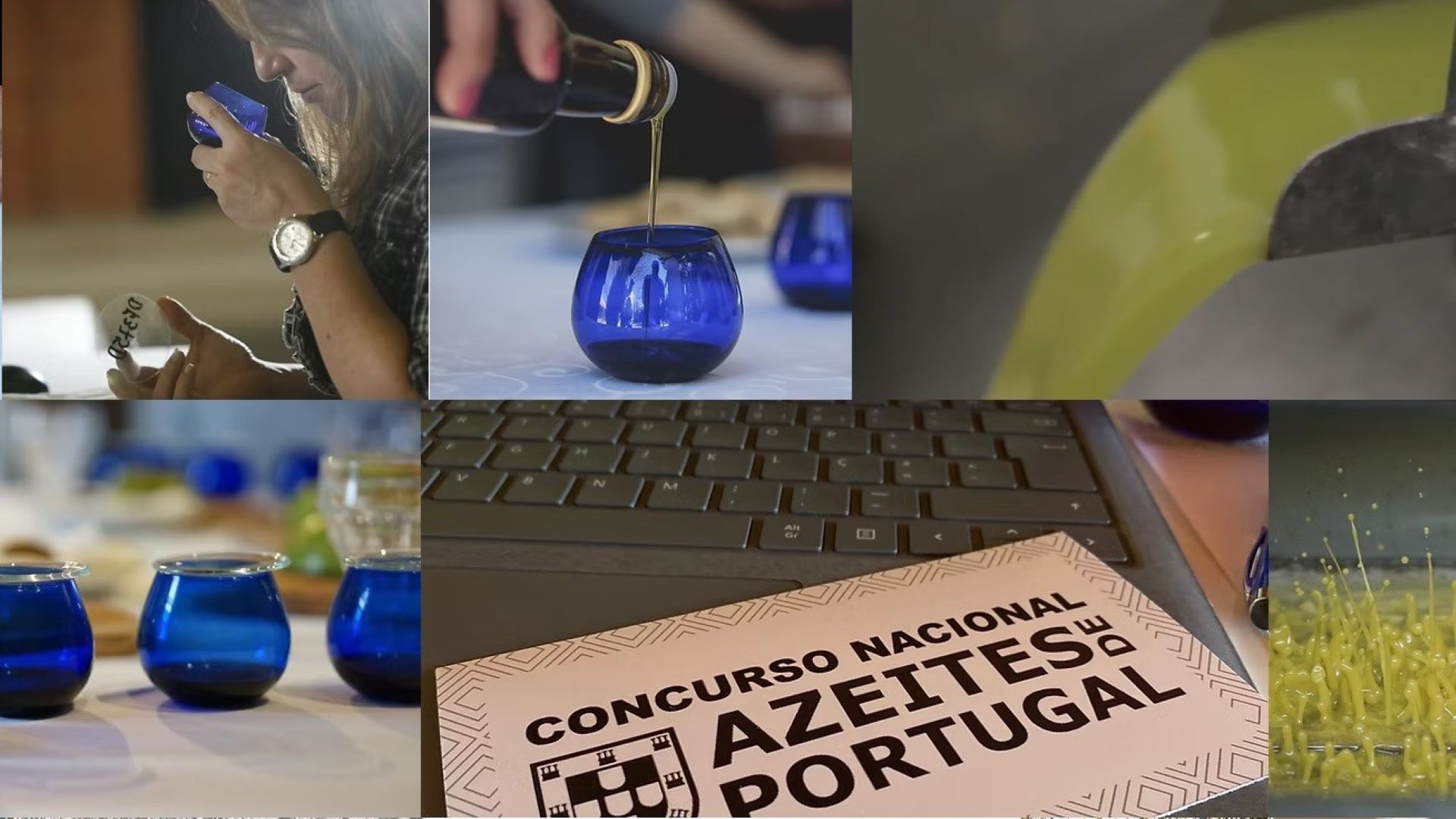 Concurso Nacional de Azeites - Rádio Pax 2025