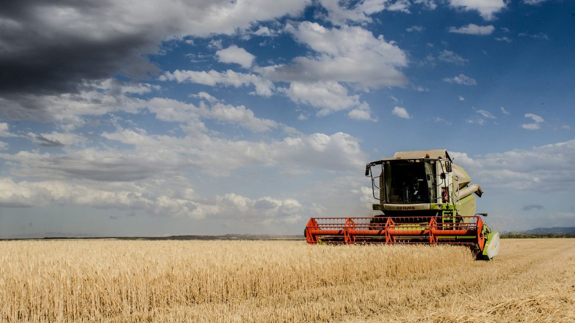 Agricultura 10 - Rádio Pax 2025