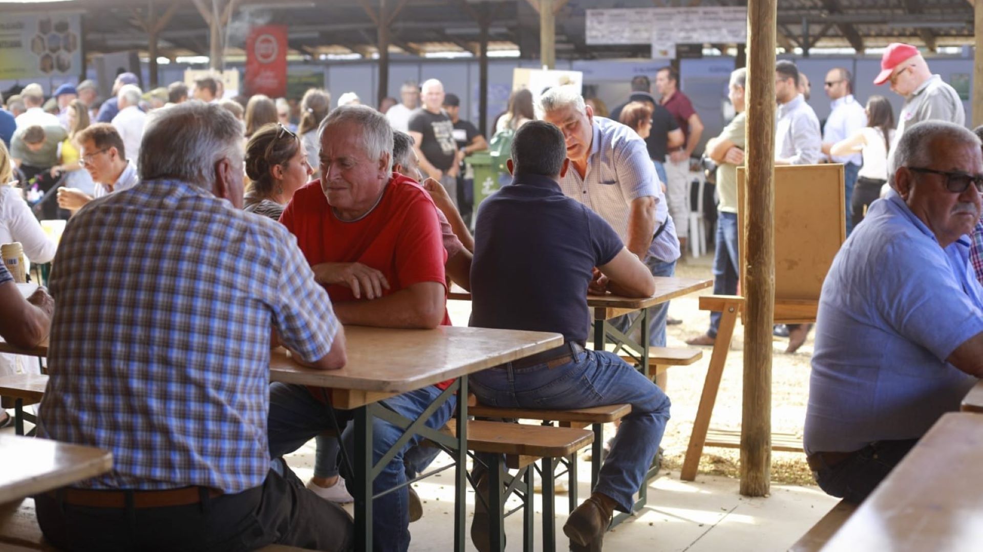 Ourique em contagem decrescente para a Feira de Garvão