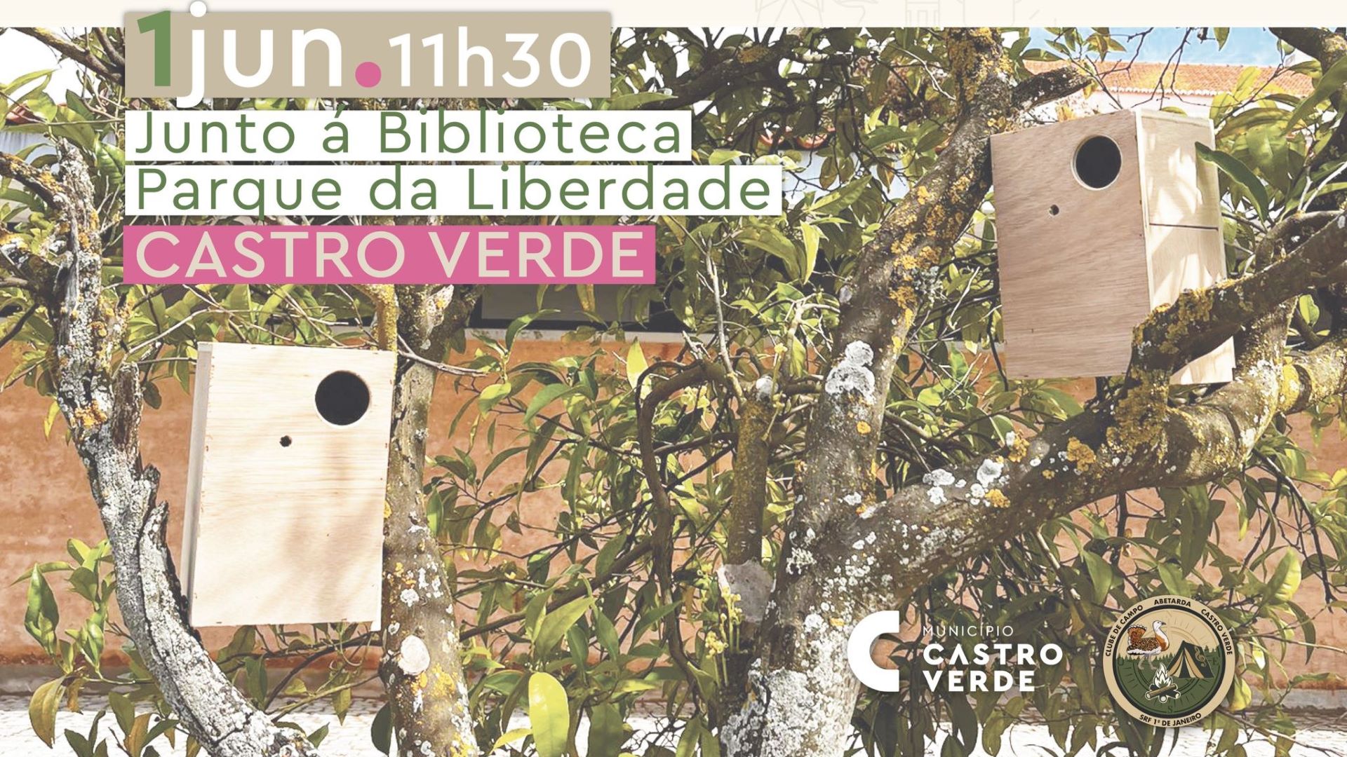 casas ninho Castro Verde - Rádio Pax 2025