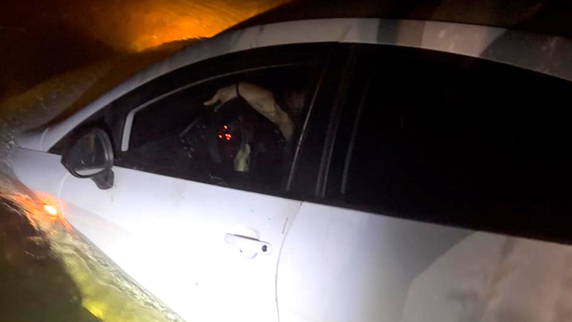 canal8 - Rádio Pax 2026