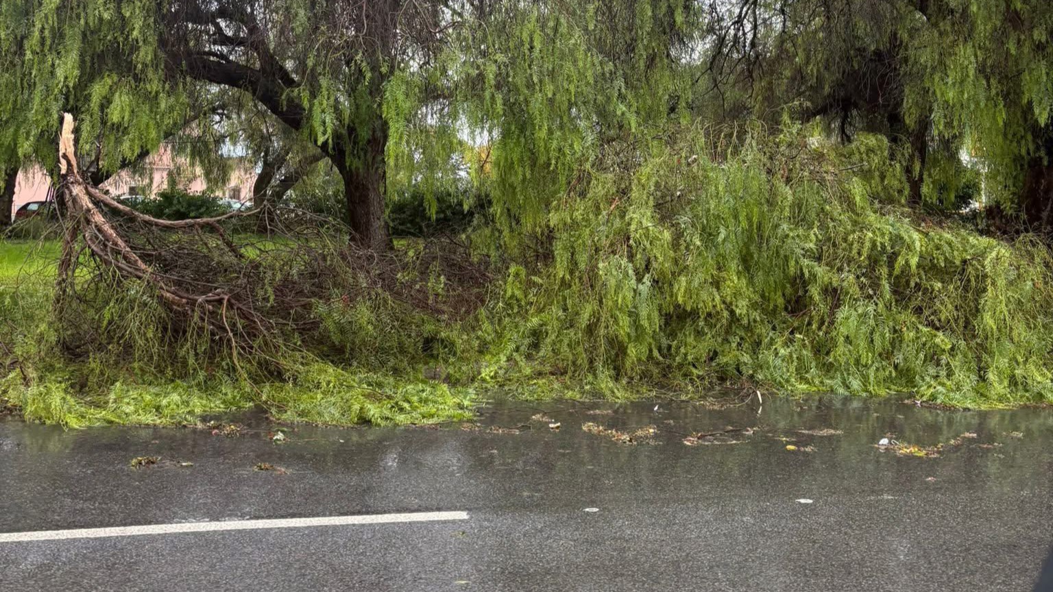 ferreria 2 - Rádio Pax 2025