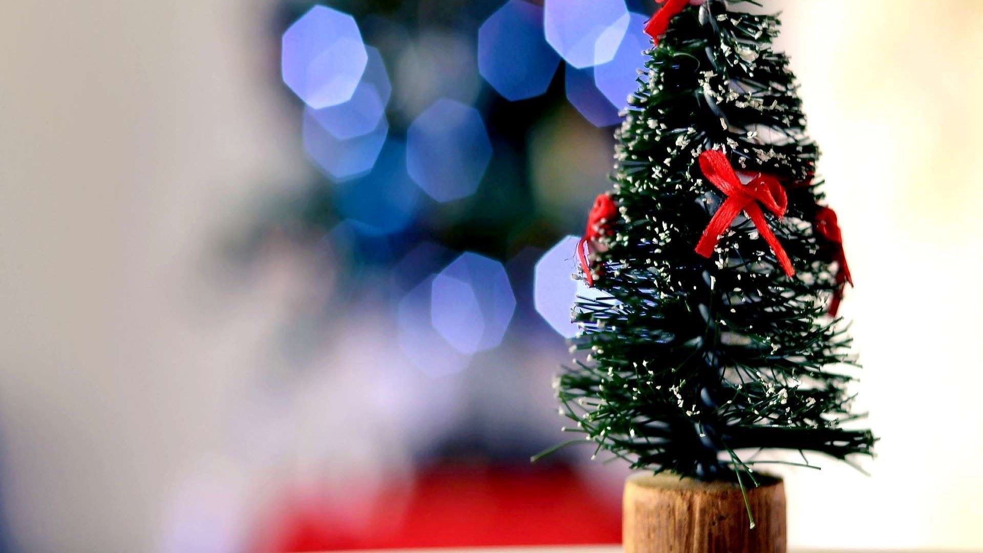 natal2 - Rádio Pax 2025