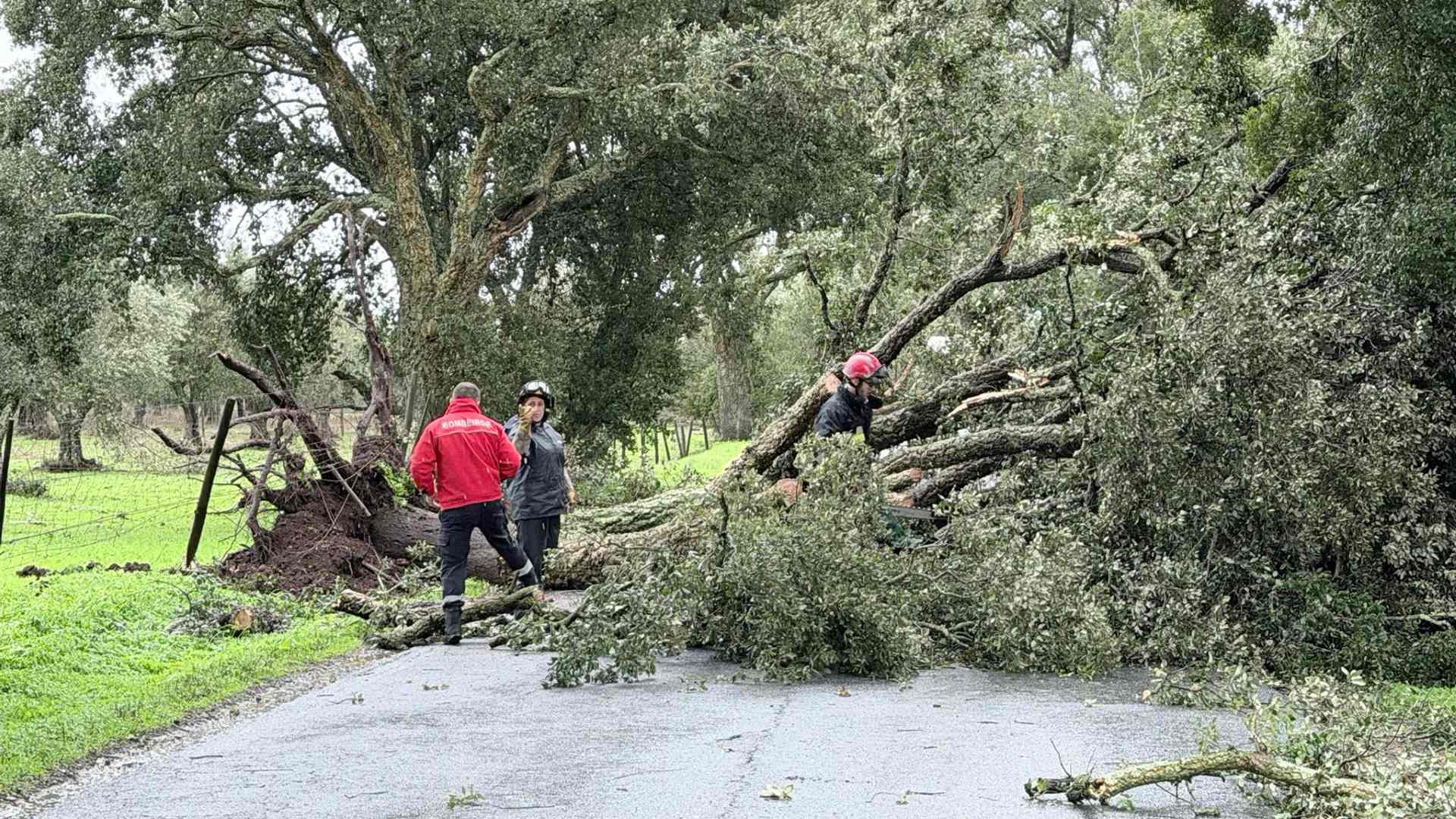 Foto CM Alvito - Rádio Pax 2026