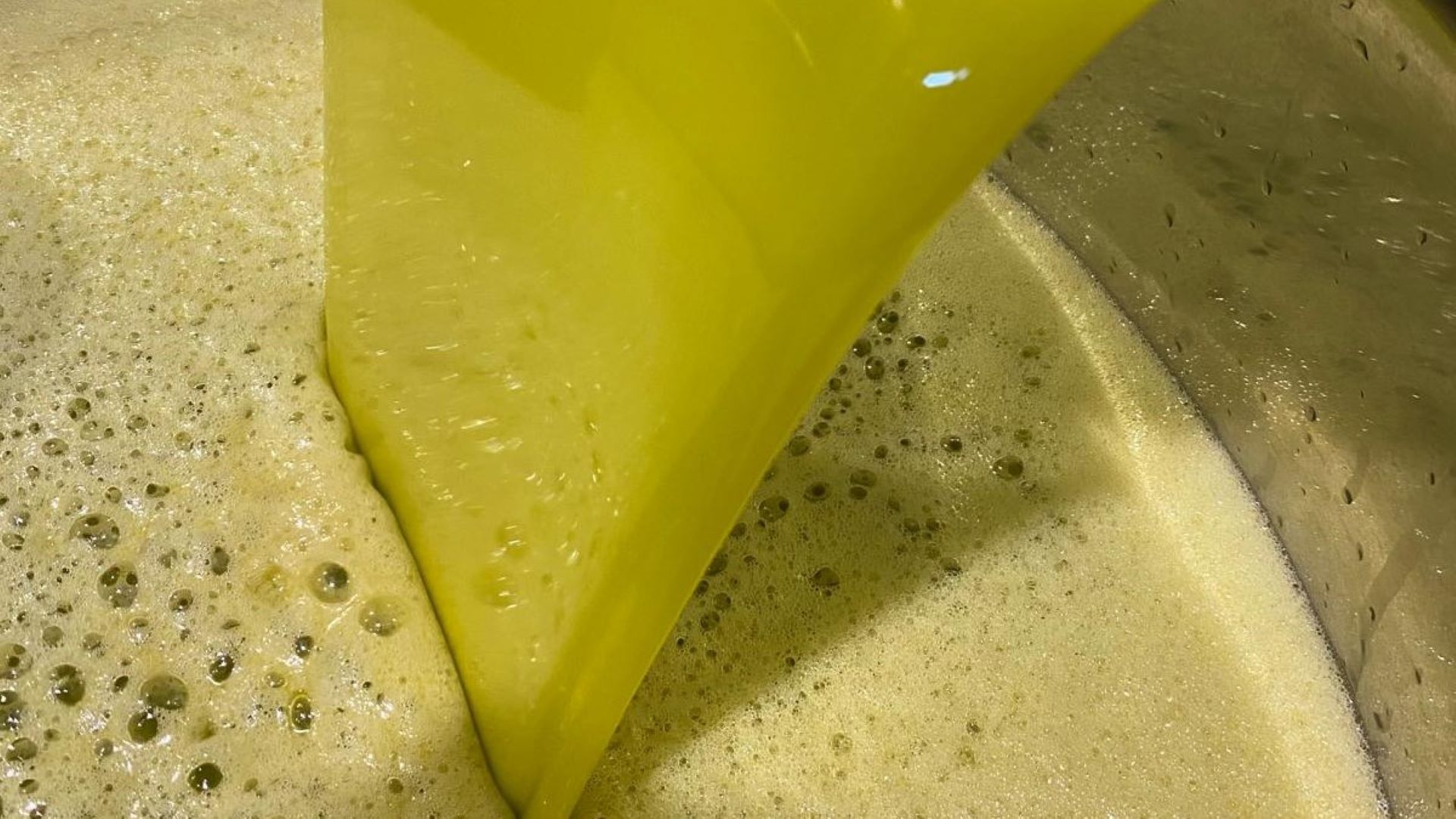 Azeite - Rádio Pax 2026