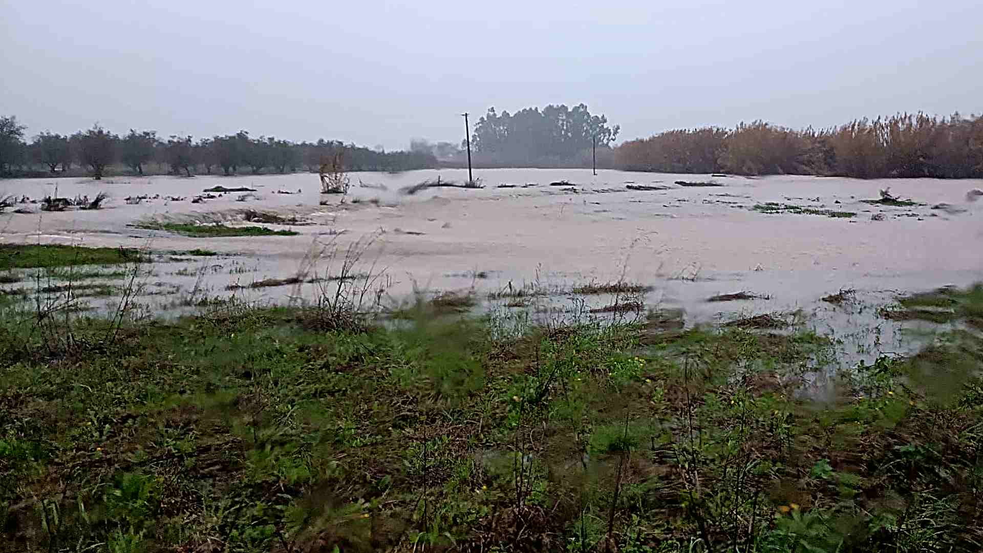 neves - Rádio Pax 2026