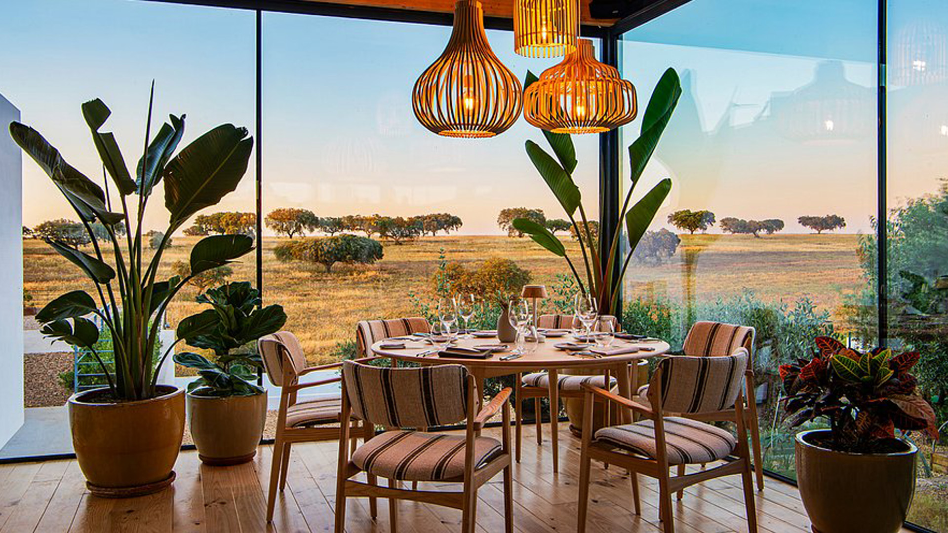 malhadinha restaurante - Rádio Pax 2026