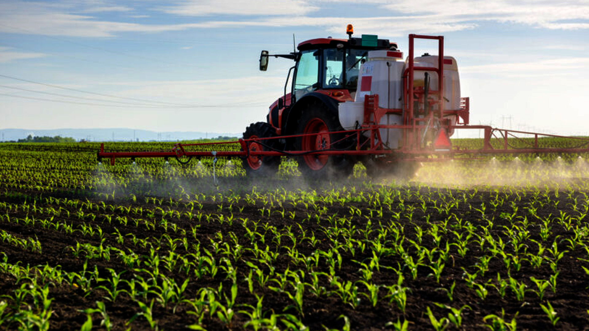 Apoio aos fertilizantes gera dúvidas: agricultores do Baixo Alentejo questionam alcance da medida